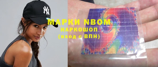 шишки Михайловск