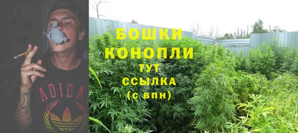 экстази Михайлов