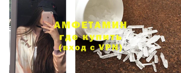 шишки Михайловск