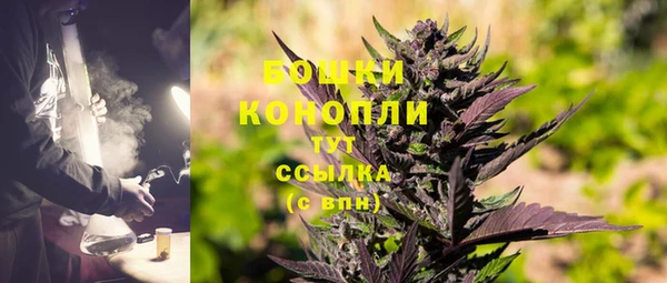 шишки Михайловск