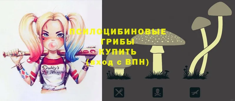 Галлюциногенные грибы Magic Shrooms  Билибино 