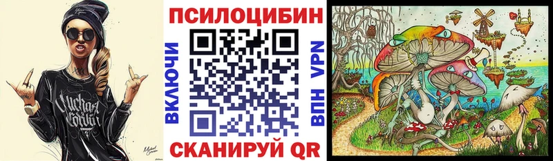 магазин продажи наркотиков  Билибино  Псилоцибиновые грибы Magic Shrooms 