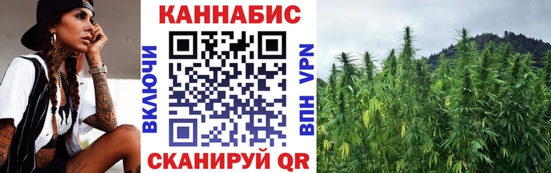 Шишки марихуана White Widow мега как войти нарко площадка состав Билибино